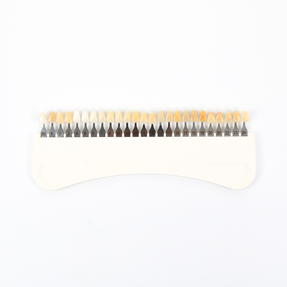Guía de Tonos para Blanqueamie - Teeth Whitening Professional reseña y precio