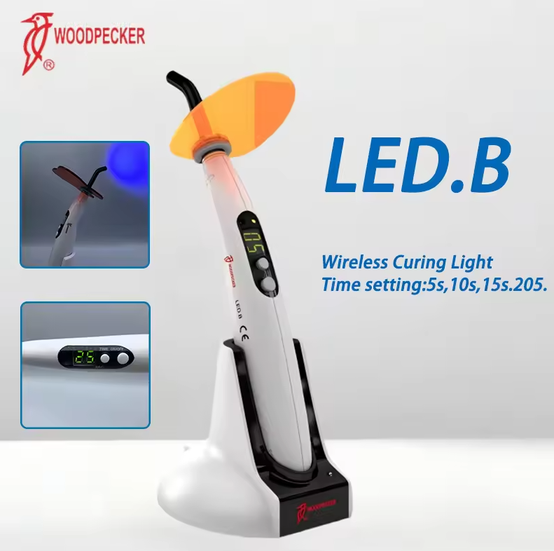 Luz de curado Dental pájaro ca - Whitening Teeth Machine reseña y precio